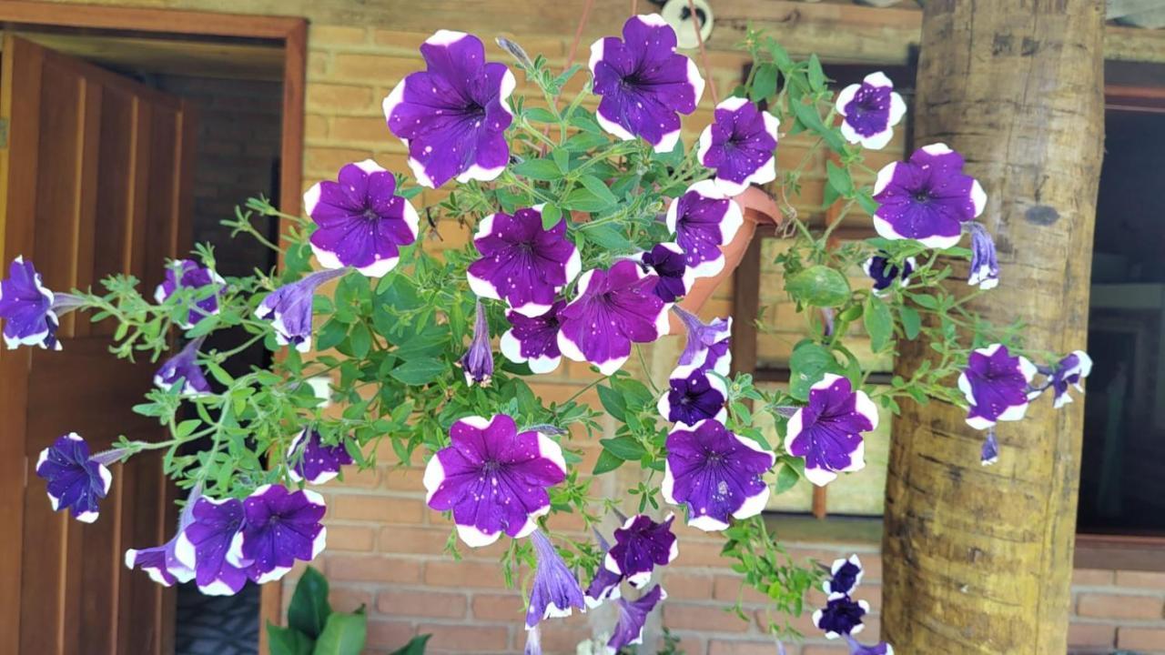 Chale Vale Das Flores - Visconde De Maua Rj Εξωτερικό φωτογραφία